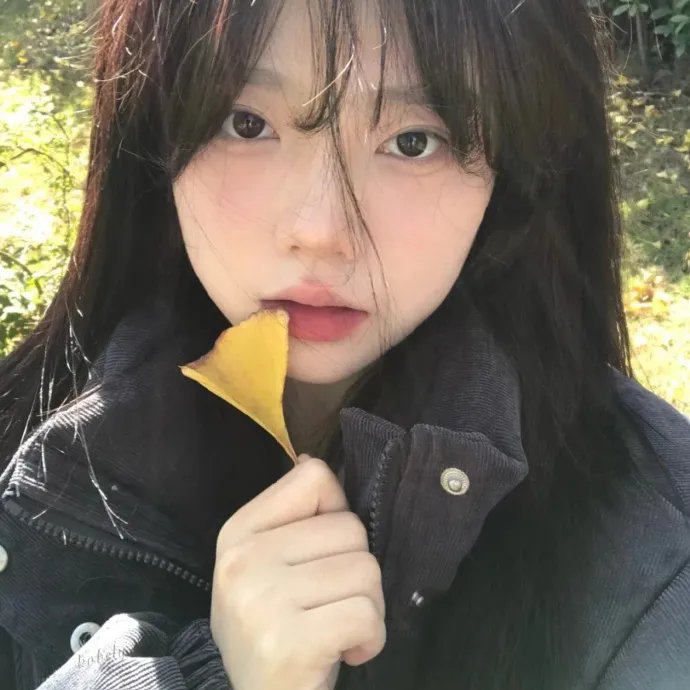 彩虹王国